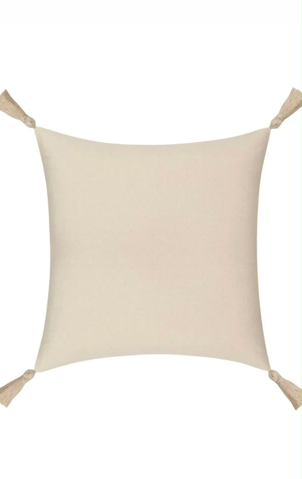 Safiya Cushion Cover