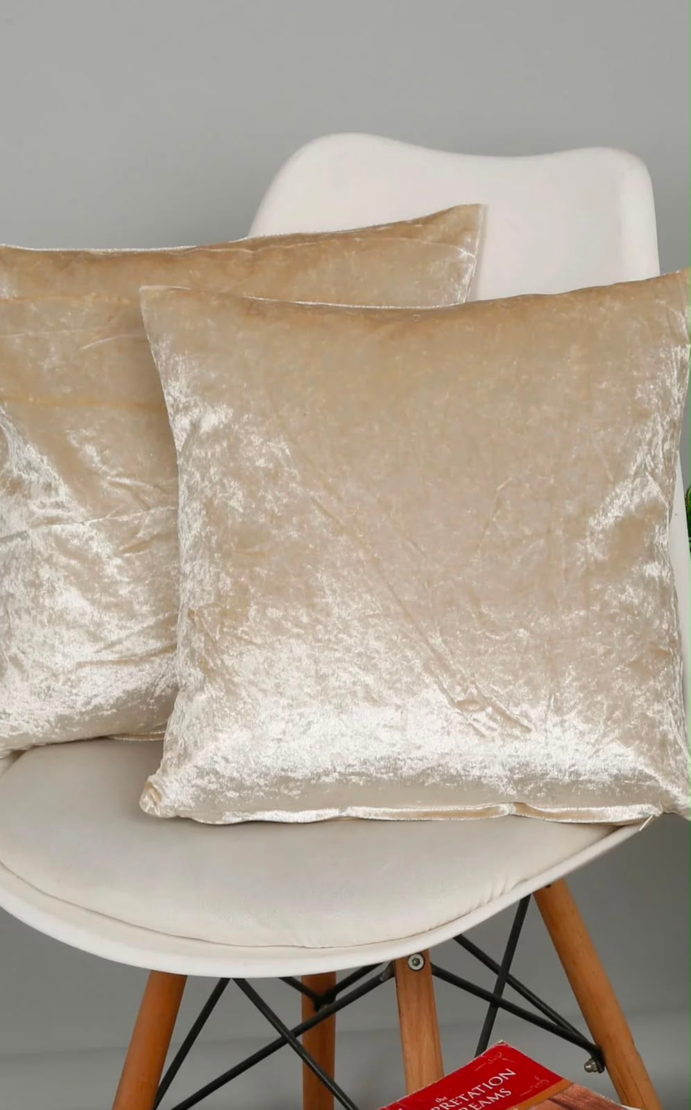 Midas Cushion Cover