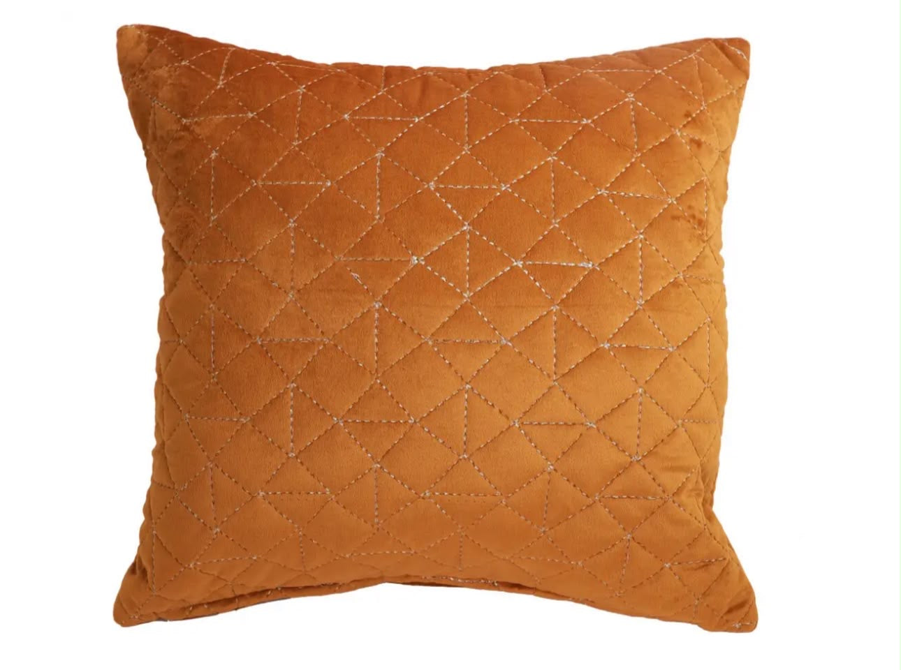 Terranova Velvet Cushion Cover