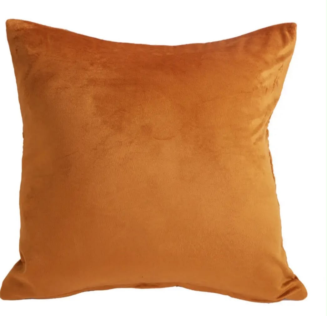 Terranova Velvet Cushion Cover