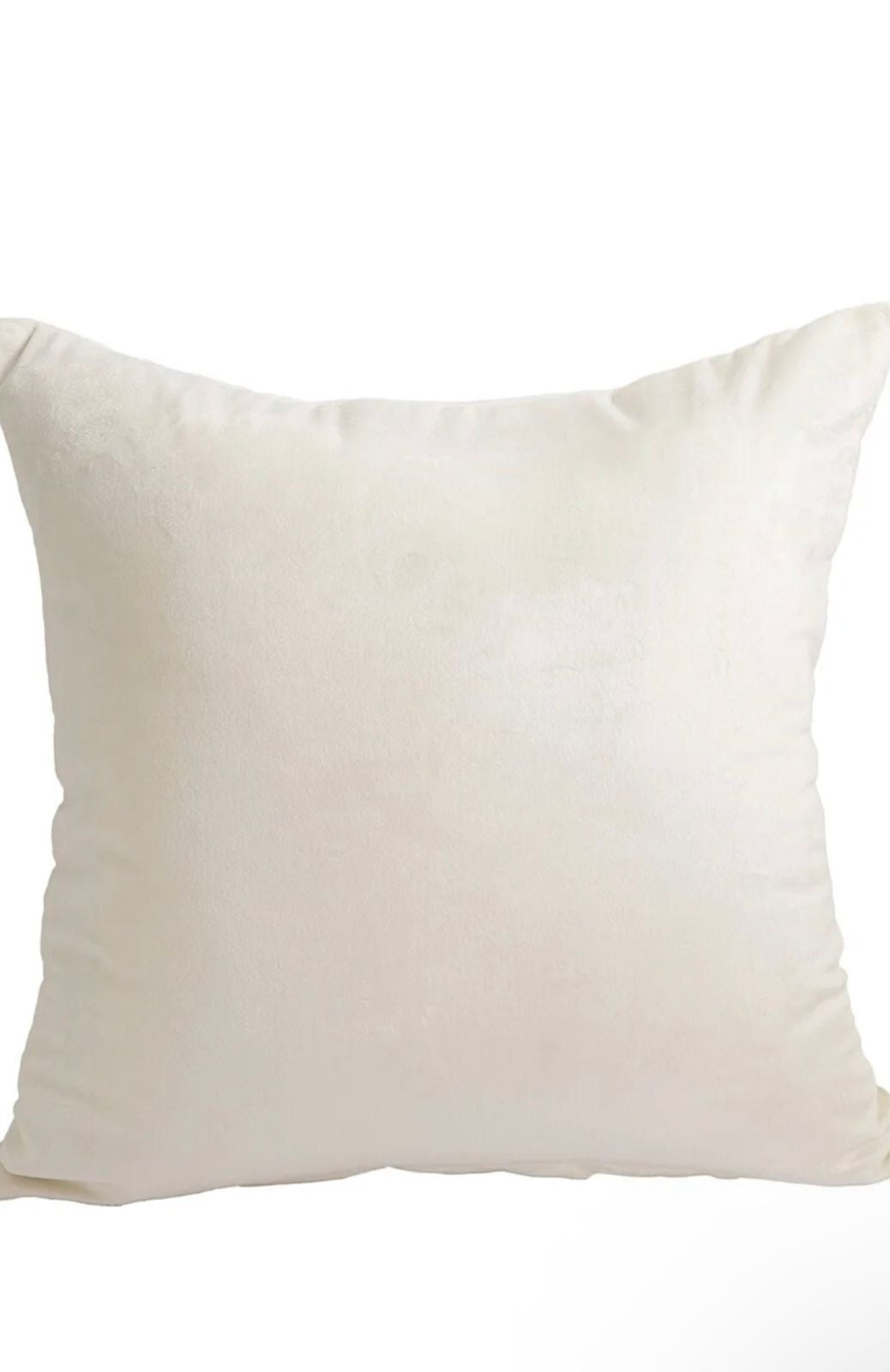 Desert Pearl Cushion Cover