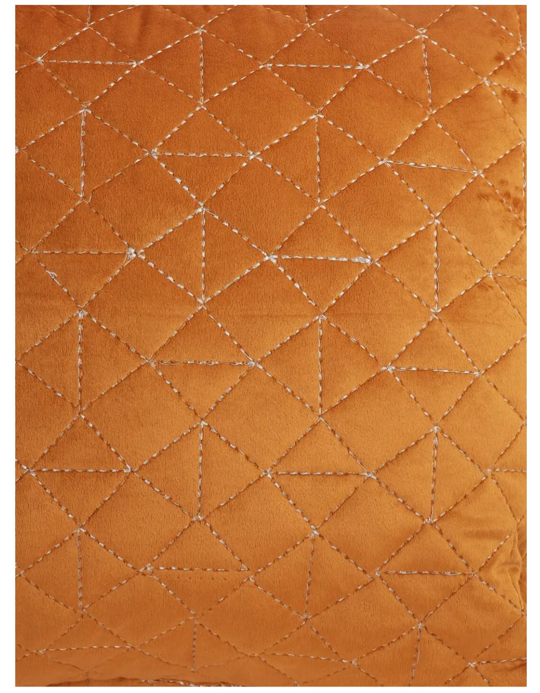 Terranova Velvet Cushion Cover