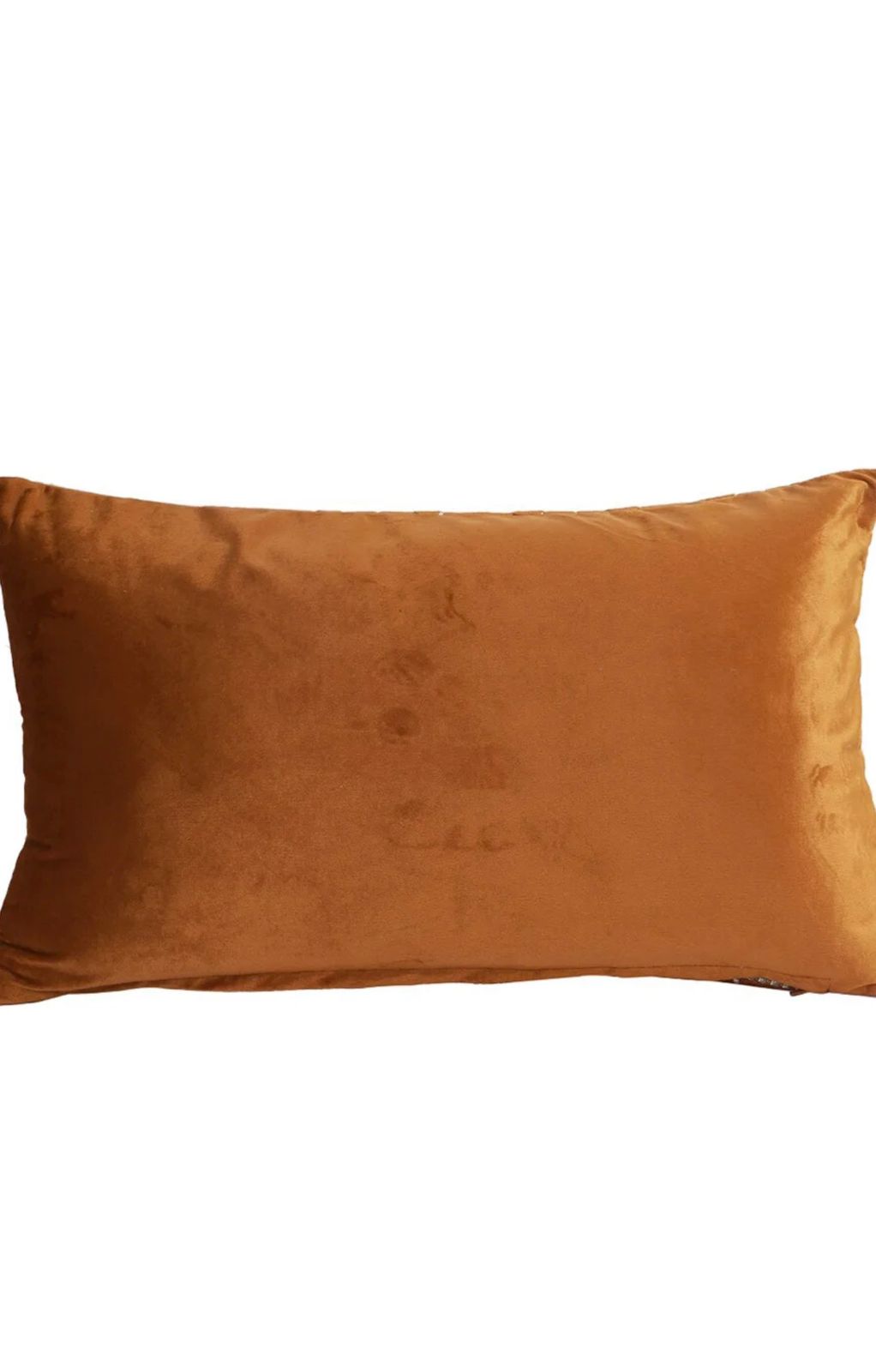 Lake Louise Cushion Cover