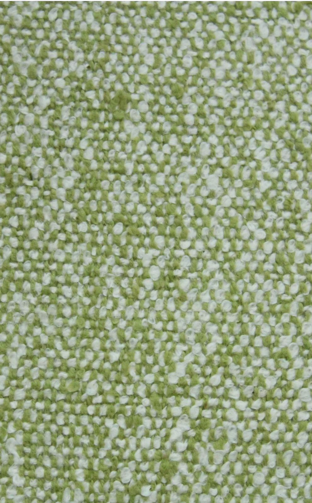 Botanic Haven Cushion Cover