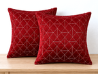Embroidered Velvet Cushion Cover – Set of 2